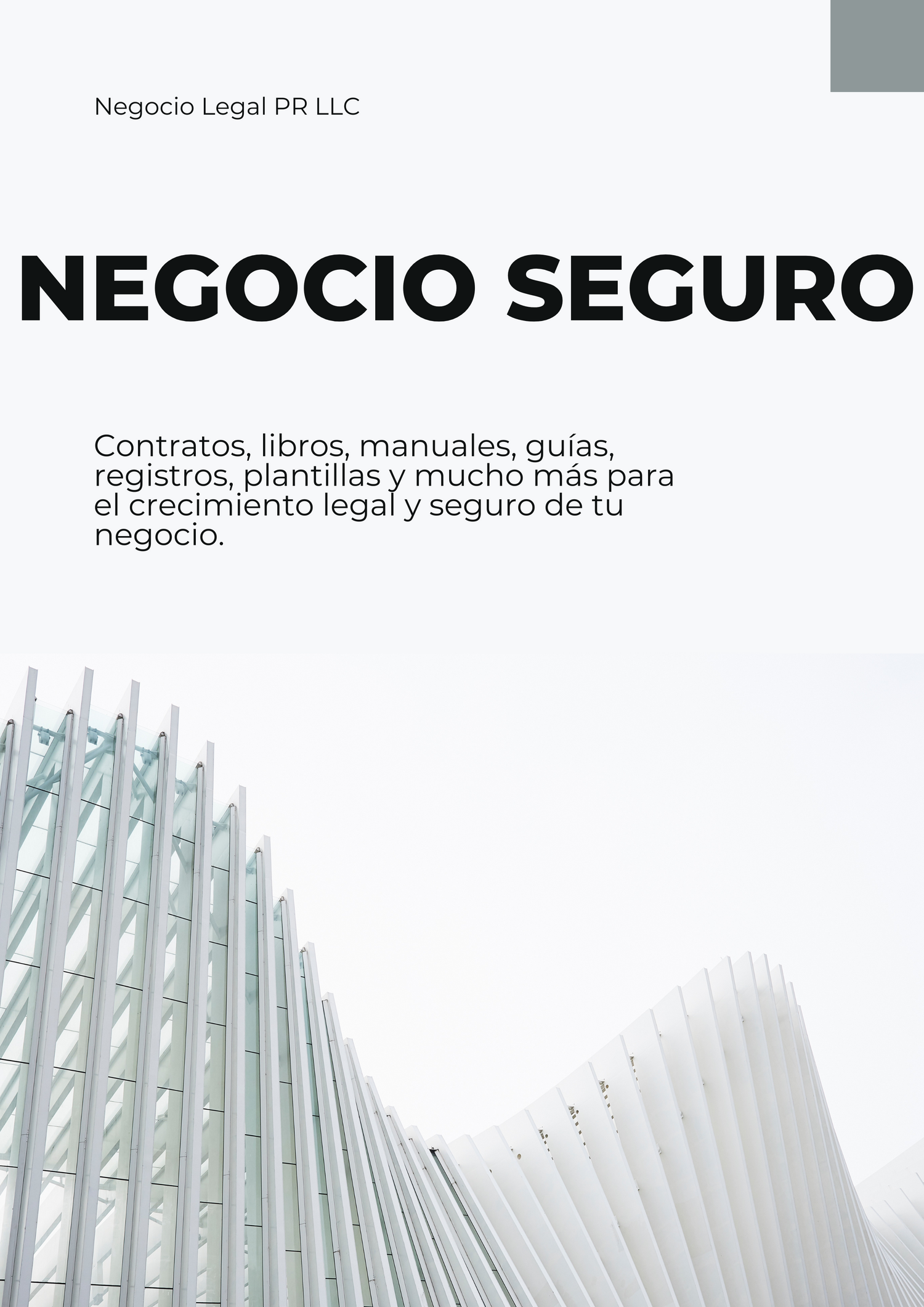 NEGOCIO SEGURO