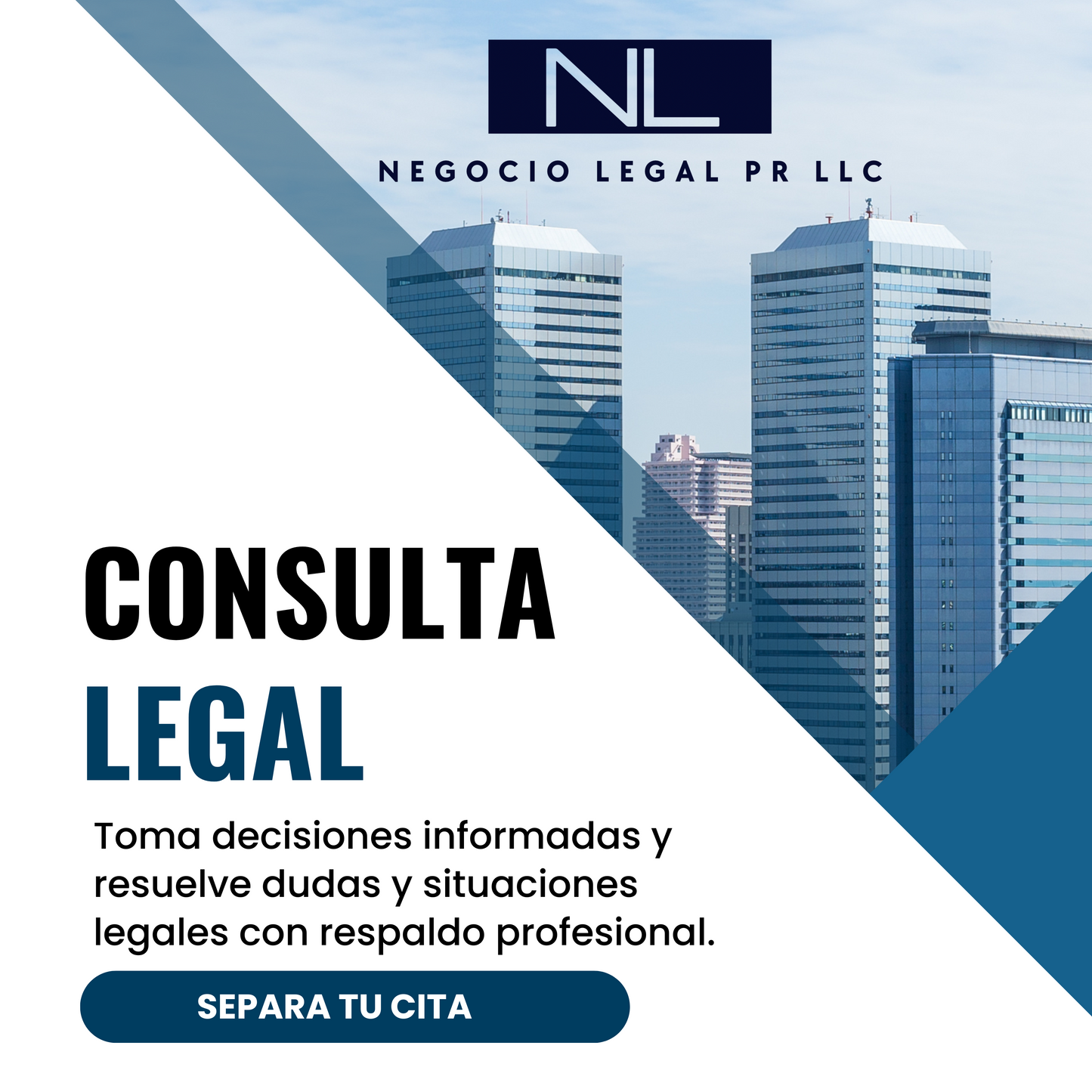 Consulta Legal (1 hora)